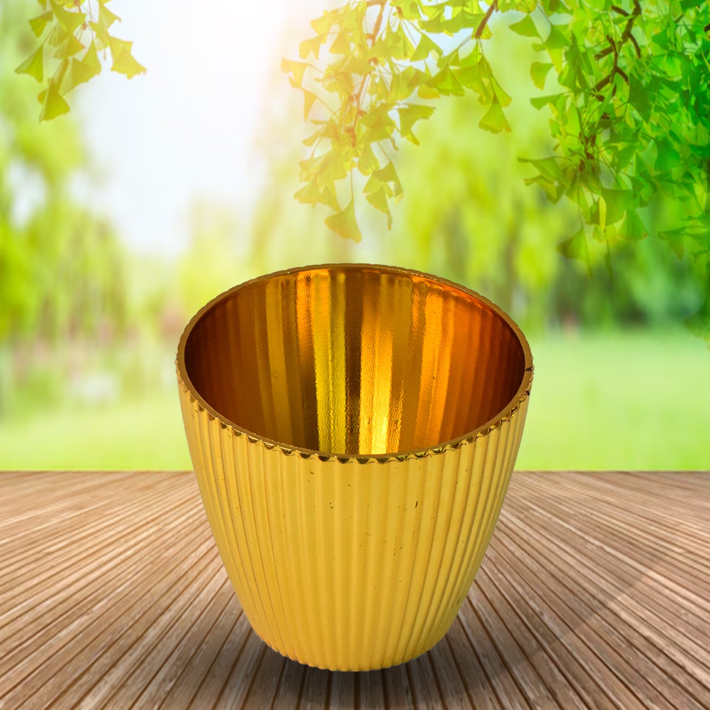Flower Valencia (Pot) Home And Outdoor