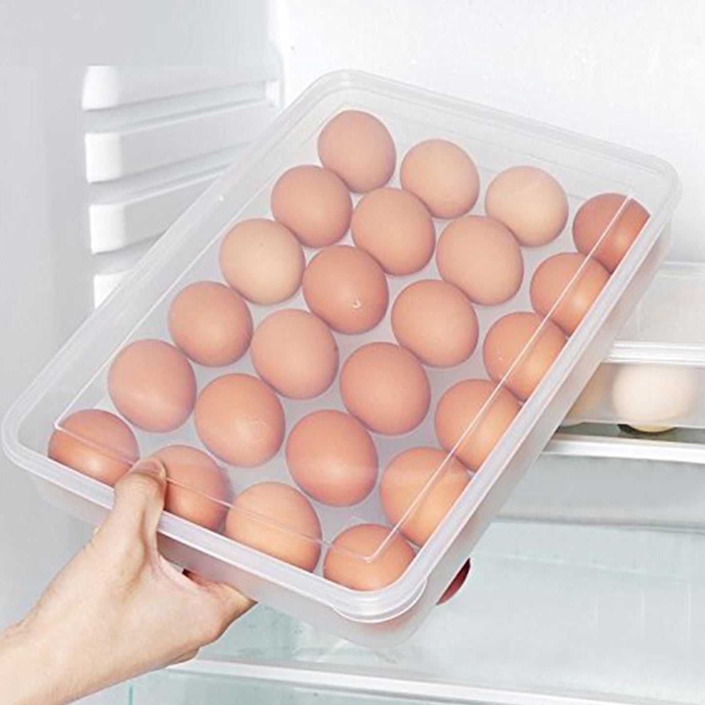 Egg Storage Tray for Fridge – Holds 24 Eggs