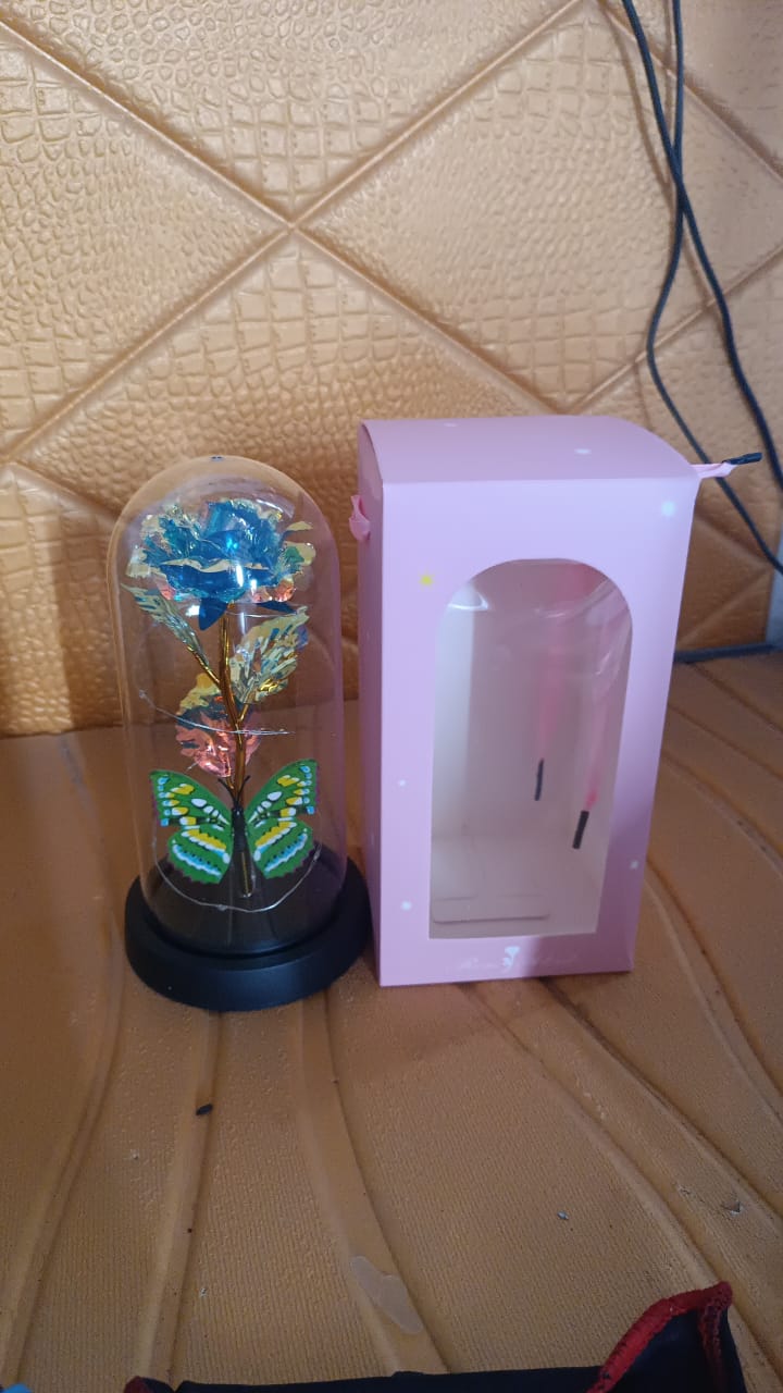 Led-powered Eternal Rose In Plastic Dome (Battery Not Included)